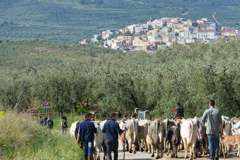 destinazionegargano.it