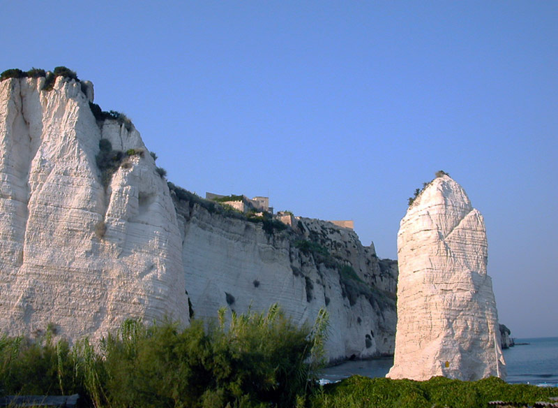 destinazionegargano.it