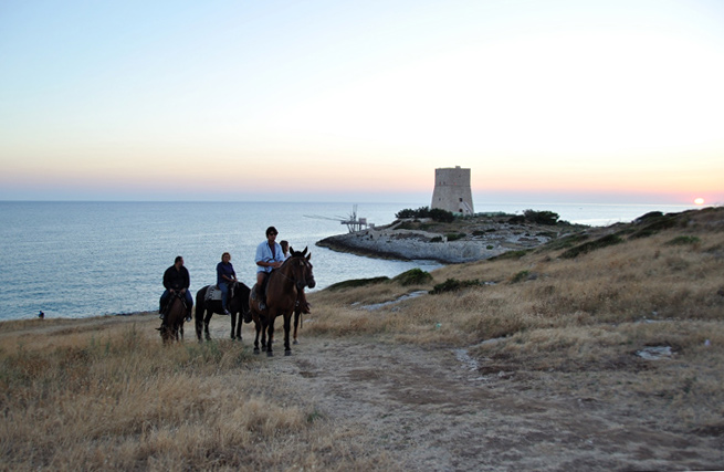 destinazionegargano.it