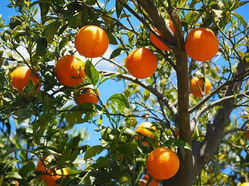 destinazionegargano.it