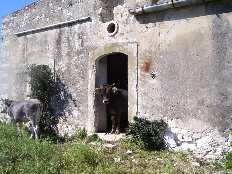 destinazionegargano.it